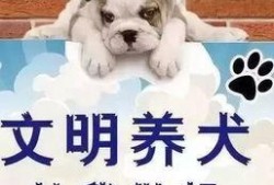 长春爆料养狗事件最新,邻里冲突升级，社区治理面临挑战