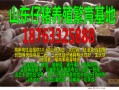 湛江猪价最新爆料,涨跌互现，市场行情揭秘