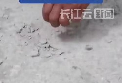 最新豆腐渣工程爆料视频,最新爆料视频曝光惊人内幕