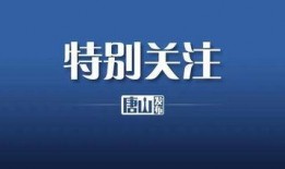 金帝股份最新爆料消息,揭秘公司重大战略布局与未来发展动向