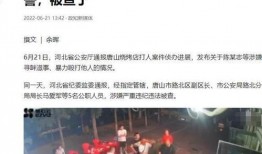 唐山近期爆料案件最新,真相渐明，警方全力侦破