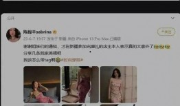 成都爆料主播事件最新进展,真相逐步浮出水面，法律程序加速推进