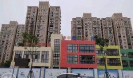 苏州宝地广场爆料视频最新,揭秘神秘项目背后的故事