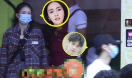 最新爆料白鹿2021,揭秘明星白鹿的璀璨星途与幕后故事