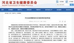 河北省最新爆料消息新闻,聚焦热点事件深度解析