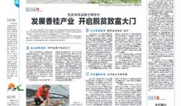 悟惑寺最新爆料新闻报道,最新爆料揭露惊人内幕