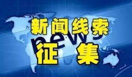 河北新闻线索爆料最新,最新爆料揭示城市绿化项目背后惊人真相