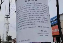 汝南一高爆料事件最新,真相与争议交织，校园风云再起