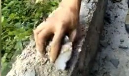 最新豆腐渣工程爆料视频,最新爆料视频曝光惊人内幕