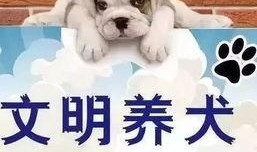 长春爆料养狗事件最新,邻里冲突升级，社区治理面临挑战