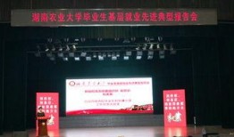 最新爆料湖南新闻头条网,重磅爆料！揭秘最新热点事件详情