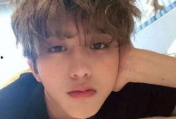 绘图斑最新爆料,揭秘神秘图案背后的惊人真相