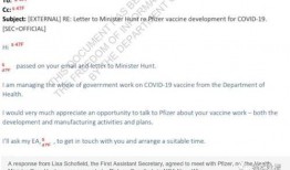 辉瑞高管 爆料最新消息,最新疫苗研发进展及市场策略大揭秘