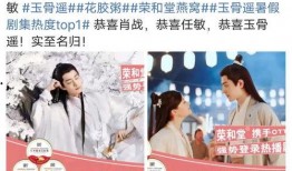 粉丝爆料电视剧大全最新,电视剧大全最新剧集盘点，热门剧集一网打尽！