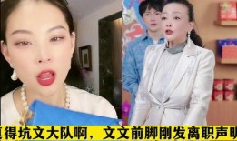 文文最新爆料张兰