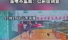 青岛啤酒厂爆料视频最新,独家爆料带你探秘百年酿造工艺