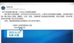 大理爆料最新消息视频