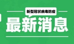 最新爆料模板大全,全方位解析热门事件传播策略