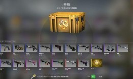 csgo箱子最新爆料,神秘箱子揭秘，全新游戏体验即将开启！