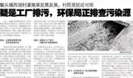 悟惑寺最新爆料新闻报道,最新爆料揭露惊人内幕