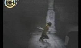 王者无双最新爆料视频在线观看,揭秘神秘英雄与全新游戏玩法