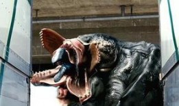 新生物变异野人最新爆料,野人最新爆料揭秘神秘生物之谜