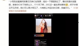 风景哥爆料视频大全最新,视频大全精彩瞬间大盘点