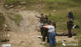 美国民兵爆料视频大全最新,视频大全深度解析