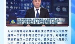 港澳最新爆料新闻报道视频,视频揭秘事件内幕，真相令人震惊