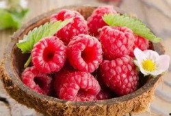 树莓最新爆料视频,揭秘神秘功能与惊艳外观