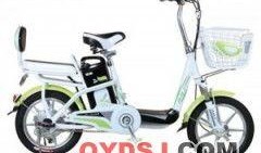 天津自行车爆料最新消息