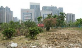 汝南一高爆料事件最新,真相与争议交织，校园风云再起