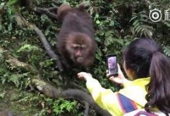 猴子爆料最新视频大全在线观看,最新视频大全精彩瞬间，在线观看不容错过！