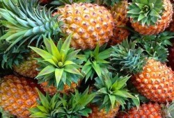 菠萝最新爆料消息,揭秘娱乐圈最新动态与幕后故事