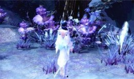 瑶无双最新爆料,娱乐圈幕后真相大曝光！