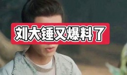 赵大锤最新爆料,娱乐圈最新重磅爆料！