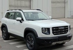 大狗最新爆料,揭秘娱乐圈最新动态与幕后真相