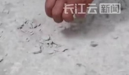 最新豆腐渣工程爆料视频,最新爆料视频曝光惊人内幕