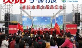 资阳摆摊爆料今日新闻最新消息,摆摊爆料，最新民生资讯速递