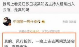 卓伟最新爆料背影,神秘背影引发热议，真相即将揭晓！