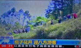 风景哥爆料视频大全最新,视频大全精彩瞬间大盘点