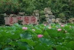 成都武侯祠最新爆料消息,历史遗迹与文化新篇