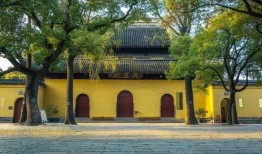 苏州寺庙爆料视频大全最新,最新爆料视频大全深度解析