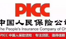 金帝股份最新爆料消息,揭秘公司重大战略布局与未来发展动向