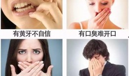 小白牙最新爆料视频,娱乐圈幕后真相大曝光！