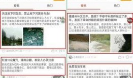 最新鲜的爆料,娱乐圈最新重磅爆料，真相令人震惊！