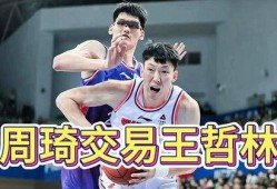 王哲林爆料视频大全集最新,揭秘篮球巨星背后的故事与心路历程