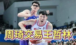 王哲林爆料视频大全集最新,揭秘篮球巨星背后的故事与心路历程