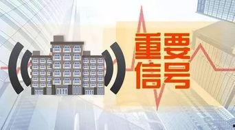 房产大爆料新闻最新消息,最新消息揭示行业惊人内幕