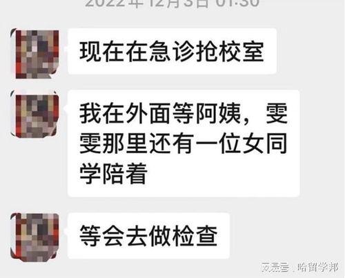 平湖最新爆料消息新闻报道,揭秘重大新闻事件背后的真相